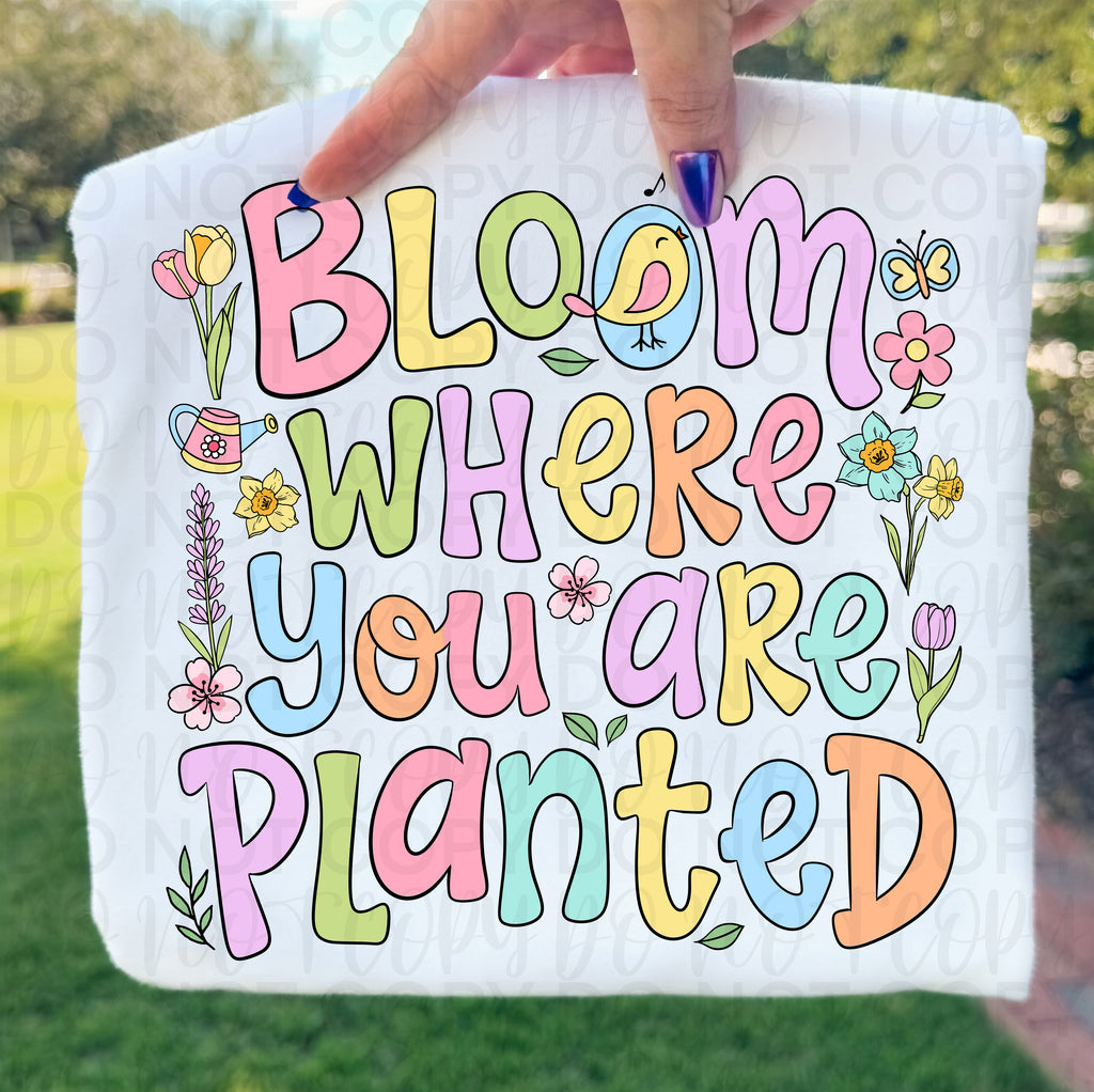 Bloom Where You Are Planted PNG