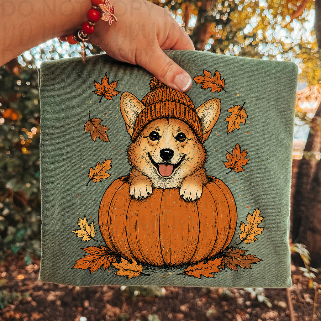 Fall Corgi Dog Pumpkin PNG