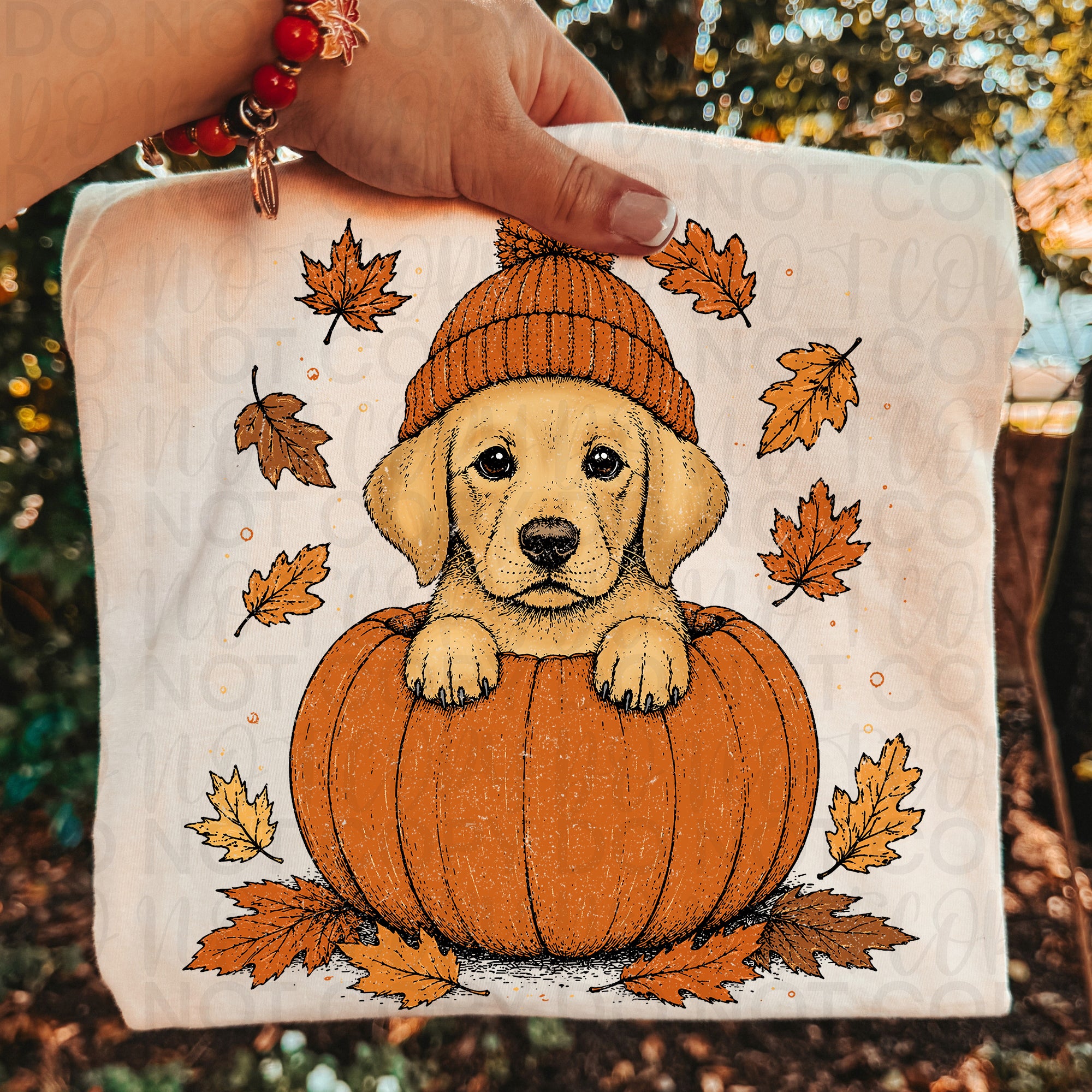 Fall Golden Labrador Pumpkin PNG