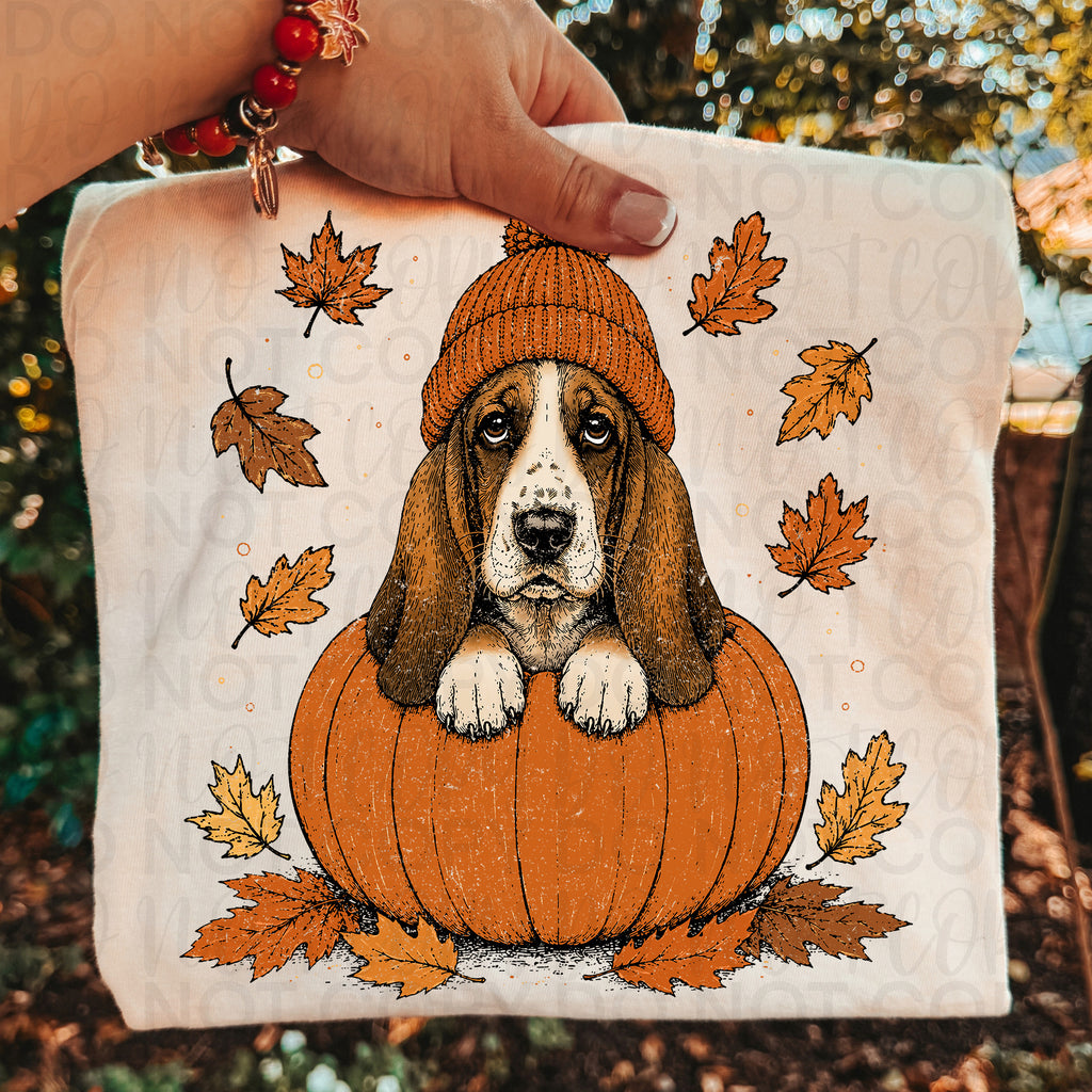 Fall Basset Hound Pumpkin PNG