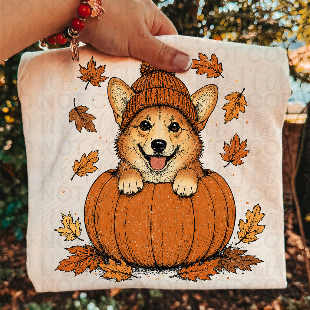 Fall Corgi Dog Pumpkin PNG