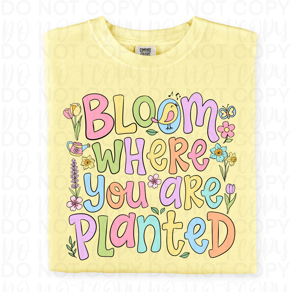 Bloom Where You Are Planted PNG