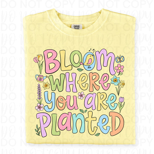 Bloom Where You Are Planted PNG