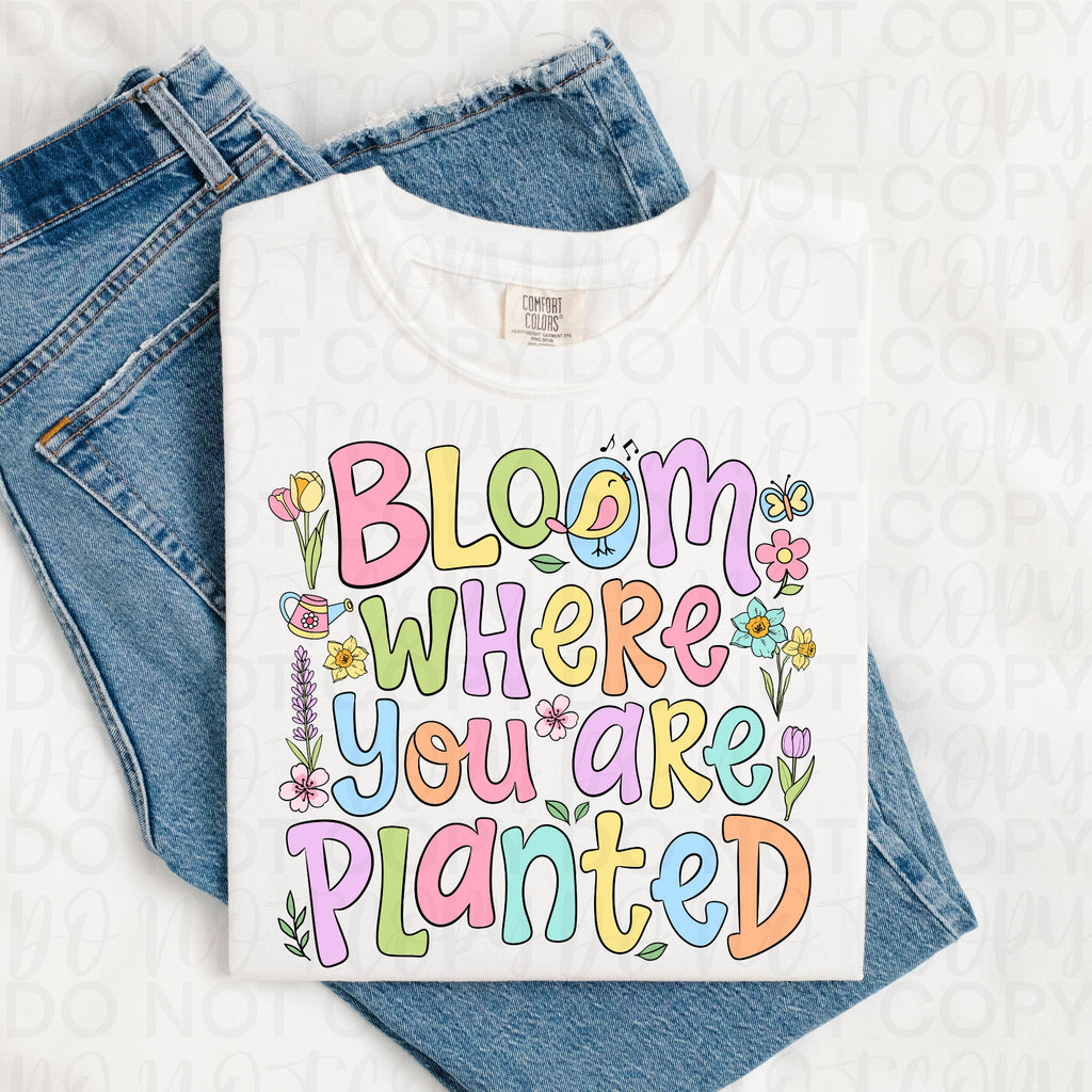 Bloom Where You Are Planted PNG