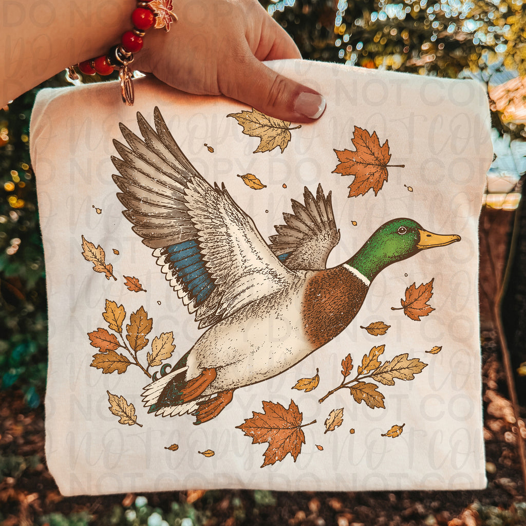 Fall Mallard Duck PNG
