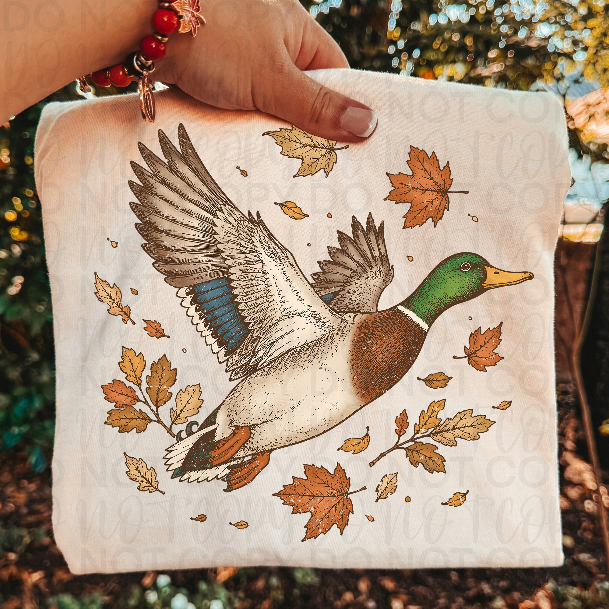 Fall Mallard Duck PNG