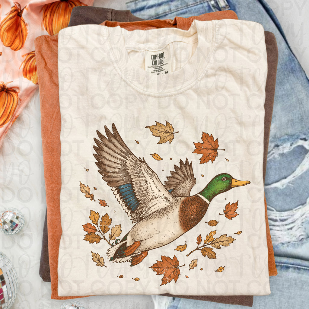 Fall Mallard Duck PNG