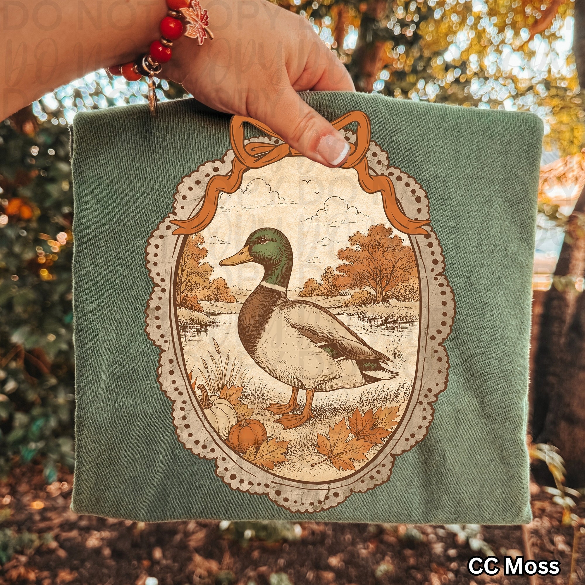 Framed Fall Mallard Duck PNG