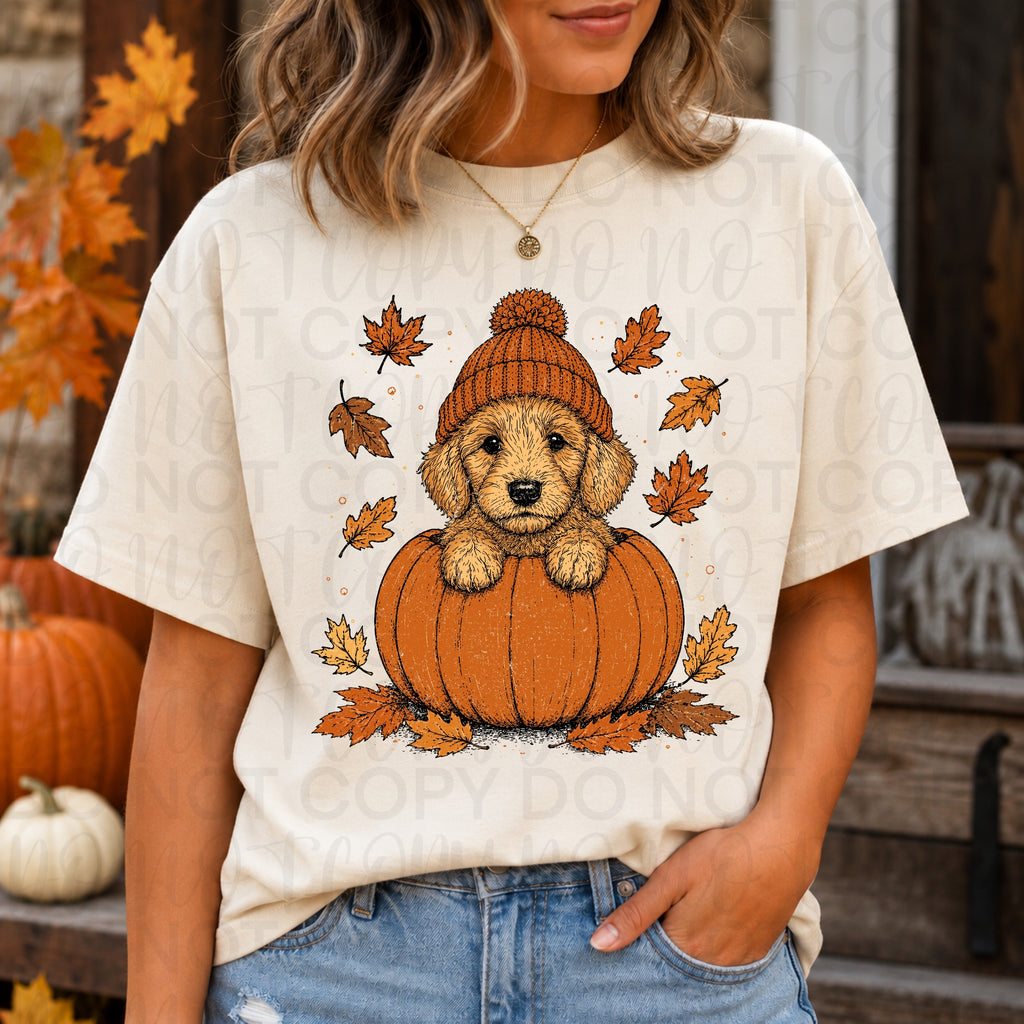 Fall Golden Doodle Pumpkin PNG