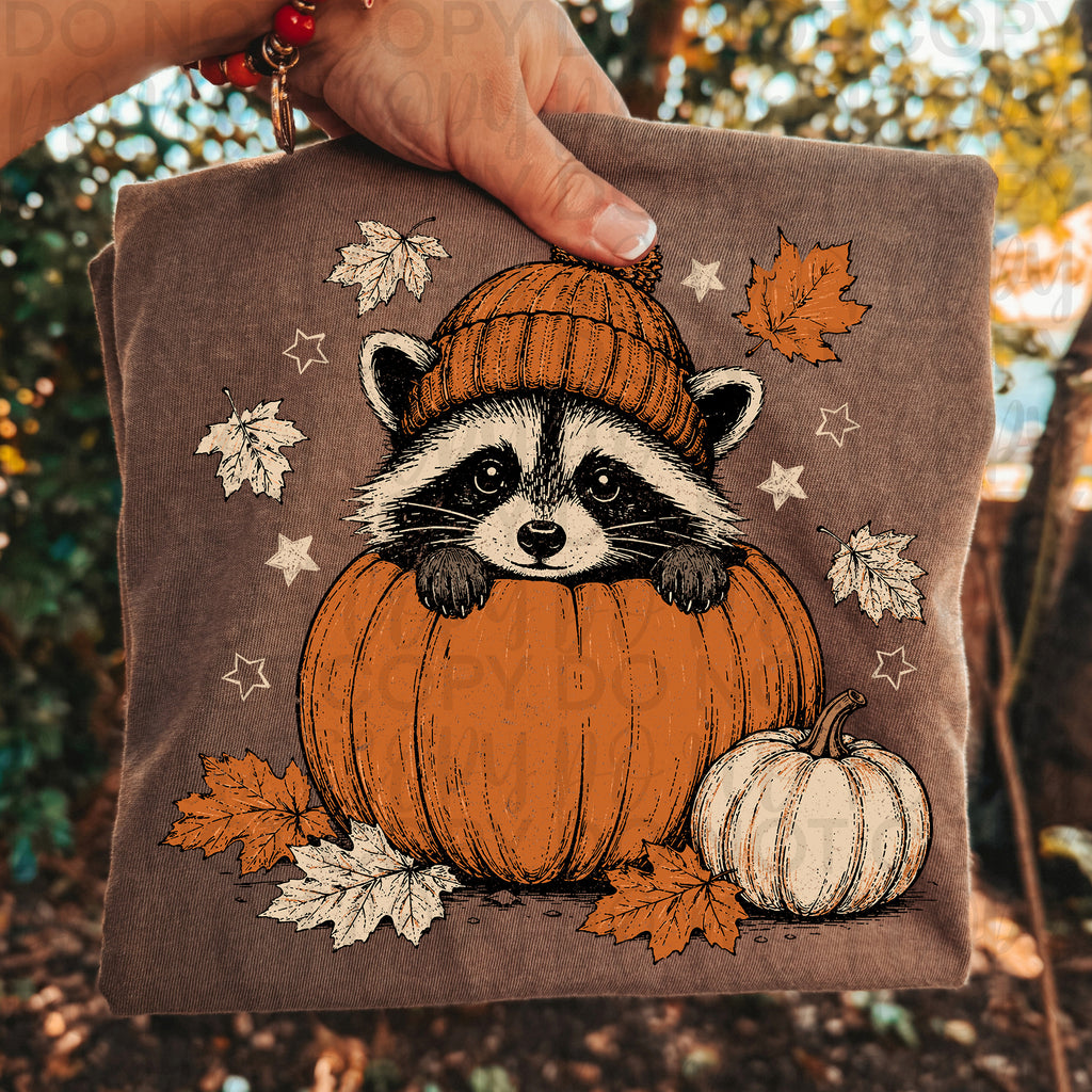 Fall Raccoon Pumpkin PNG