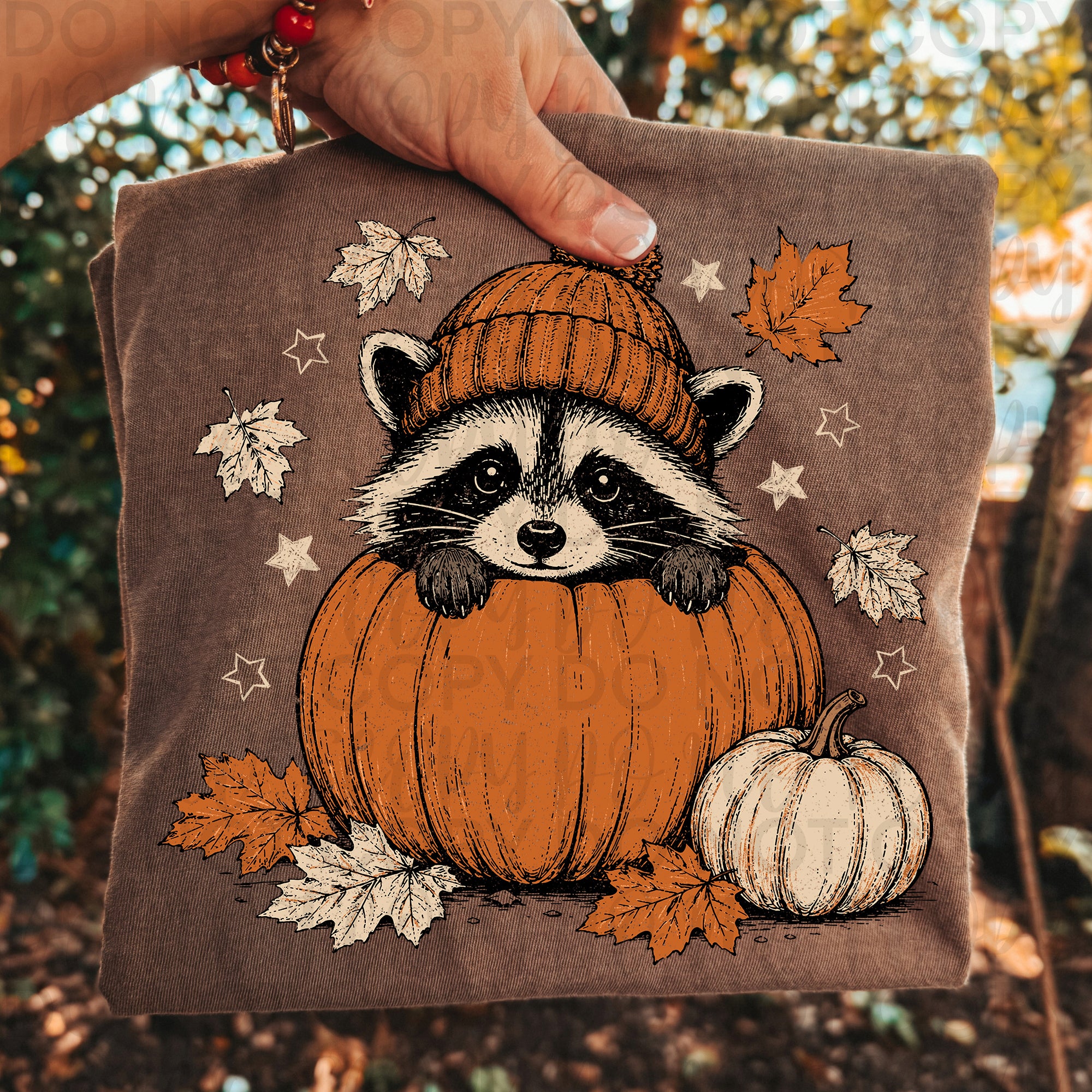 Fall Raccoon Pumpkin PNG