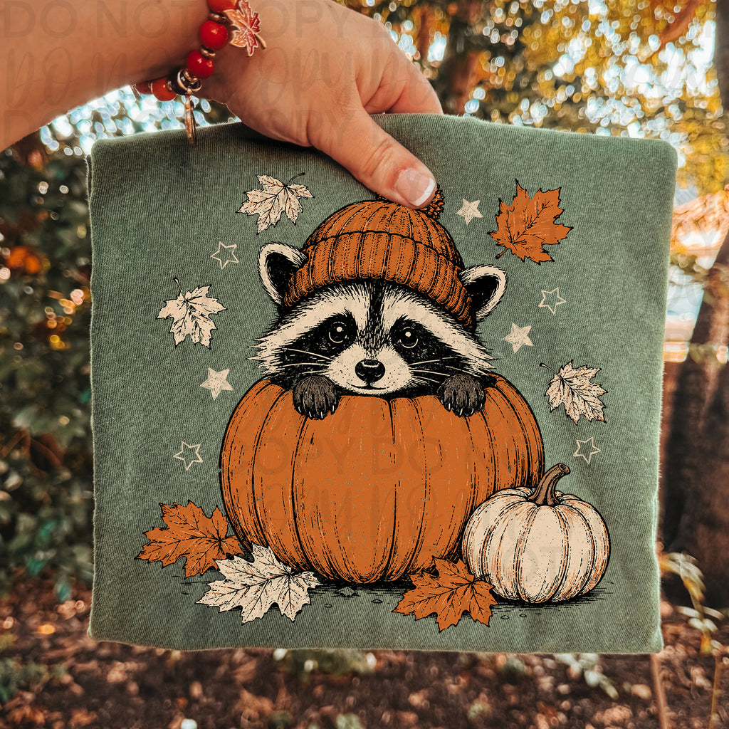 Fall Raccoon Pumpkin PNG