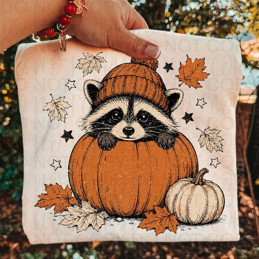 Fall Raccoon Pumpkin PNG