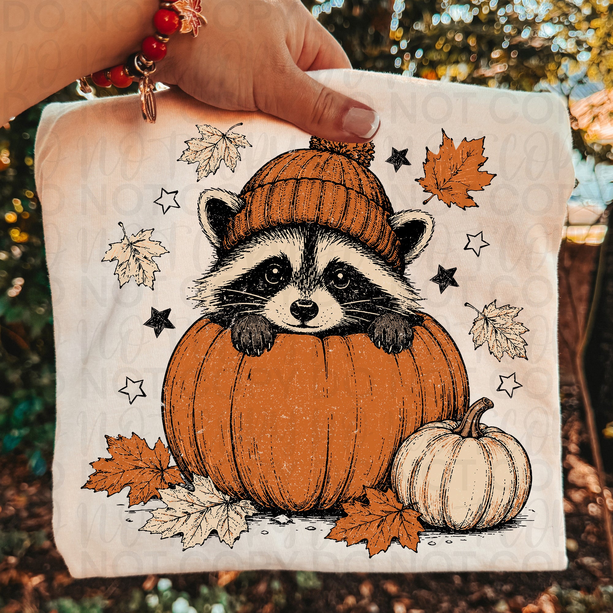 Fall Raccoon Pumpkin PNG