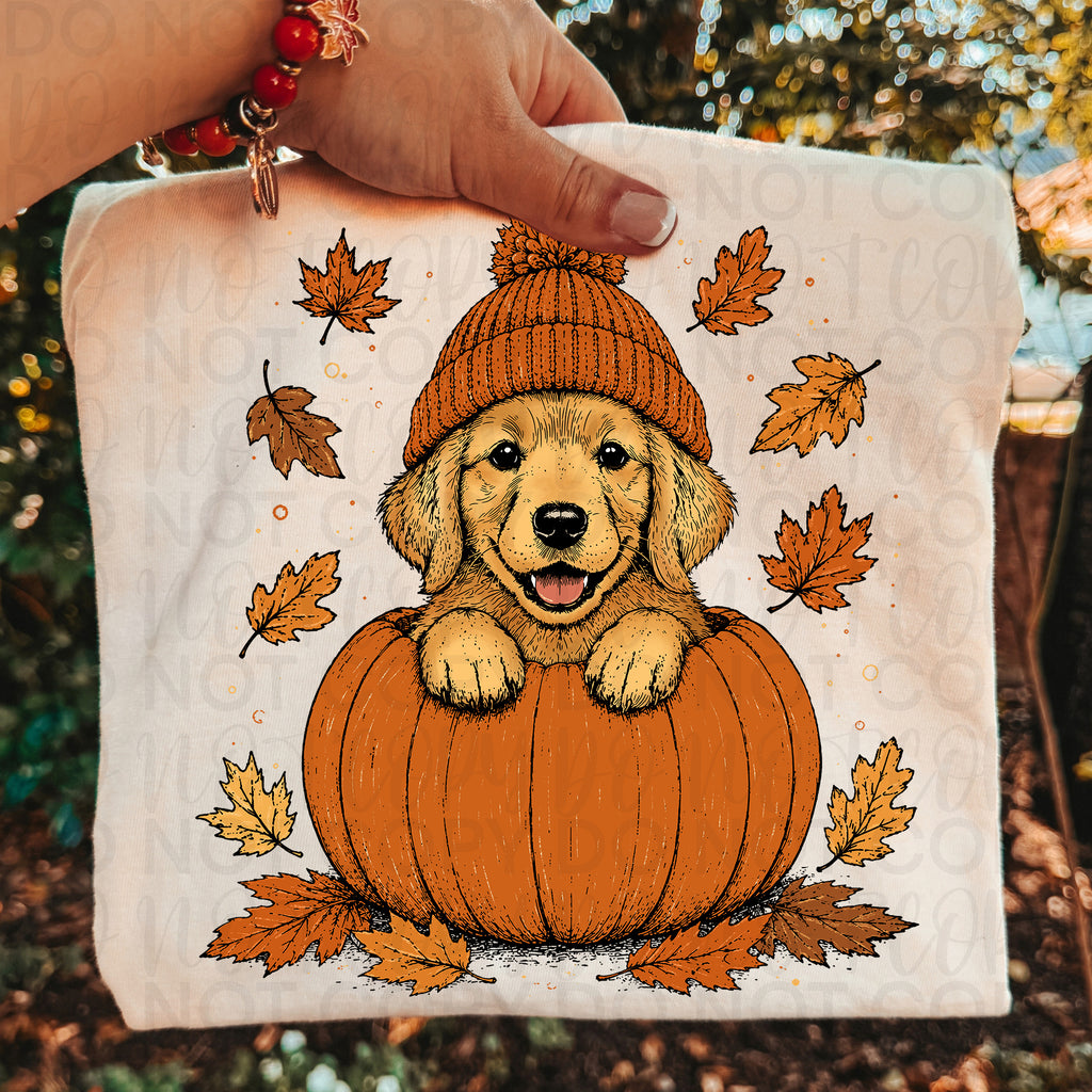 Fall Golden Retriever Pumpkin PNG