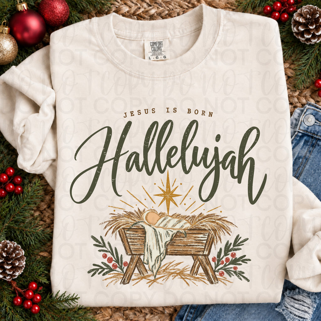 Jesus is Born Hallelujah PNG