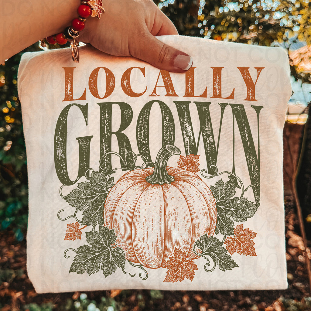 Locally Grown Pumpkin PNG