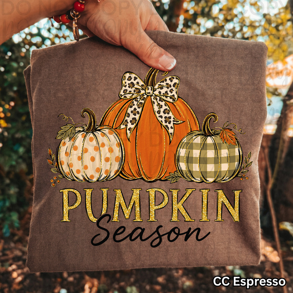 Pumpkin Season PNG