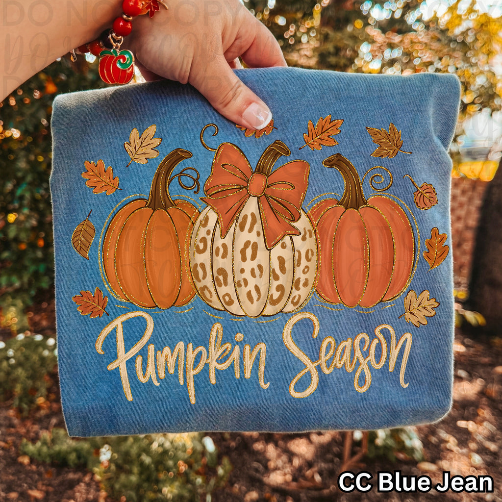 Pumpkin Season PNG