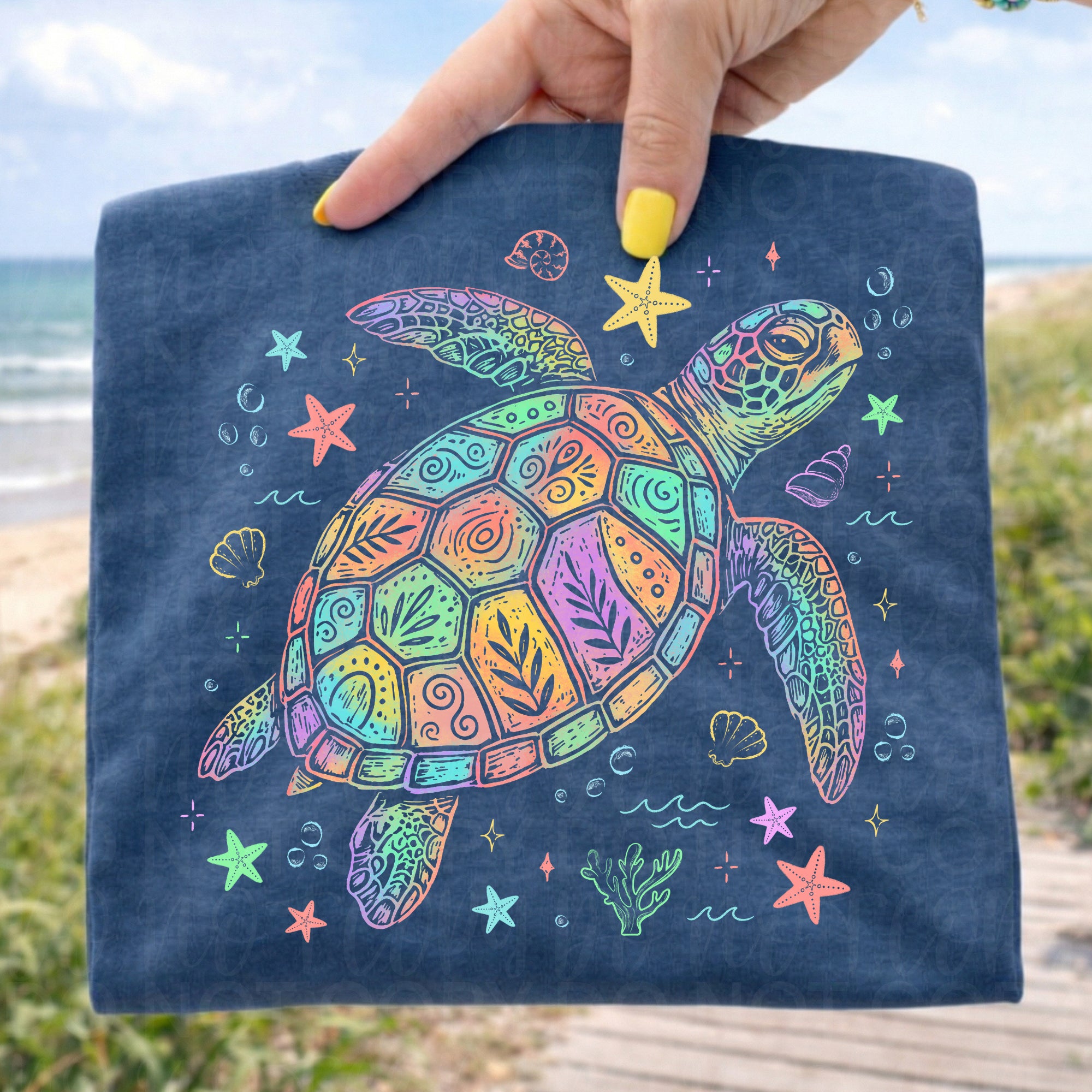 Beach Sea Turtle PNG