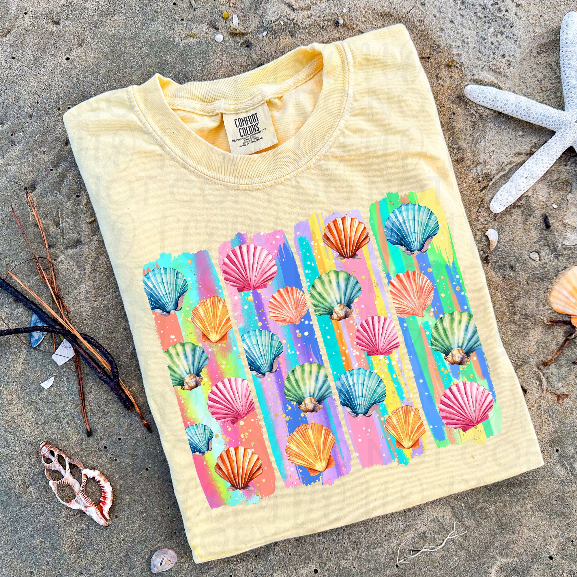Brushstroke Beach Seashells PNG