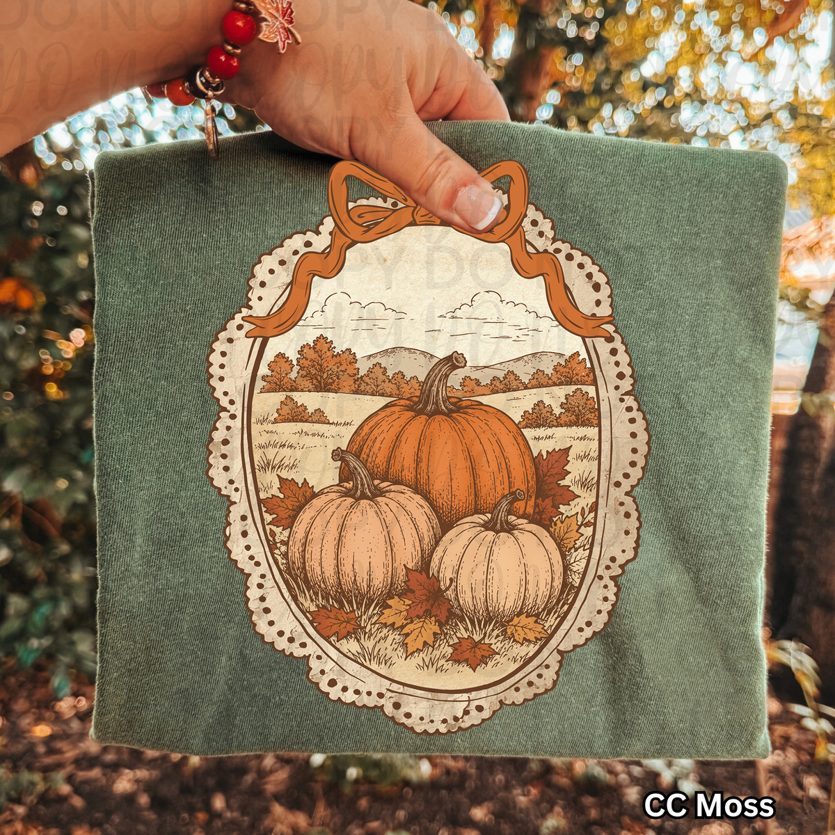 Vintage Framed Fall Pumpkins PNG