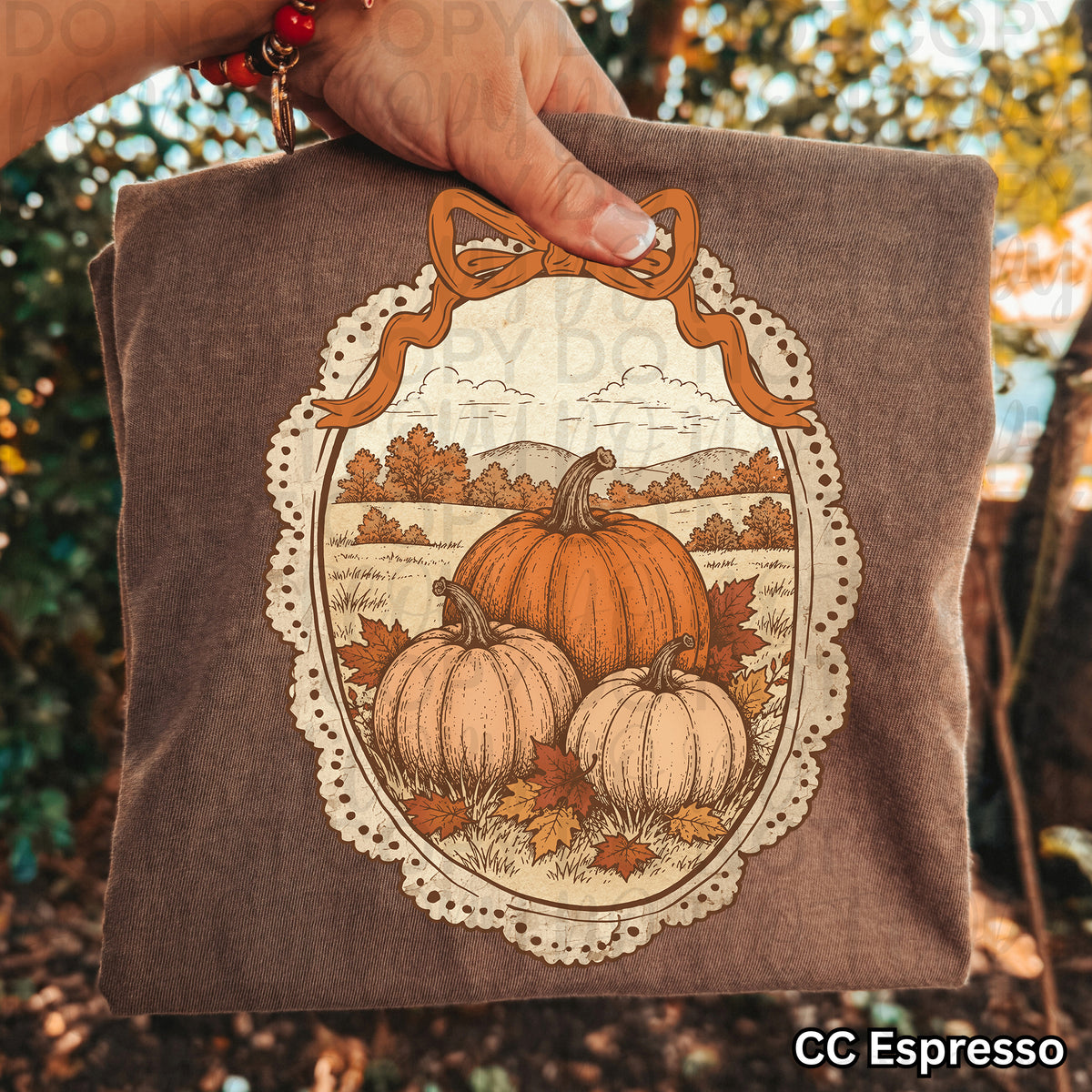 Vintage Framed Fall Pumpkins PNG