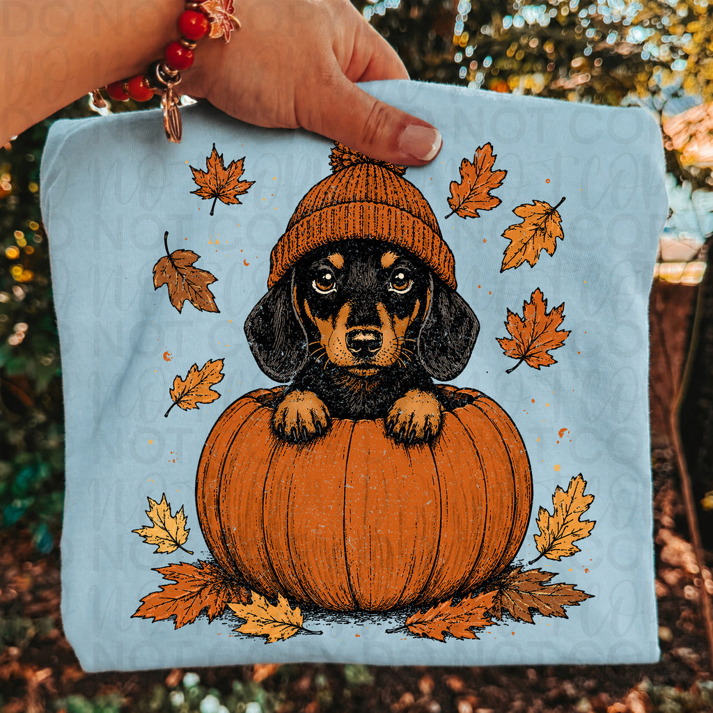 Weenie Dog Pumpkin PNG