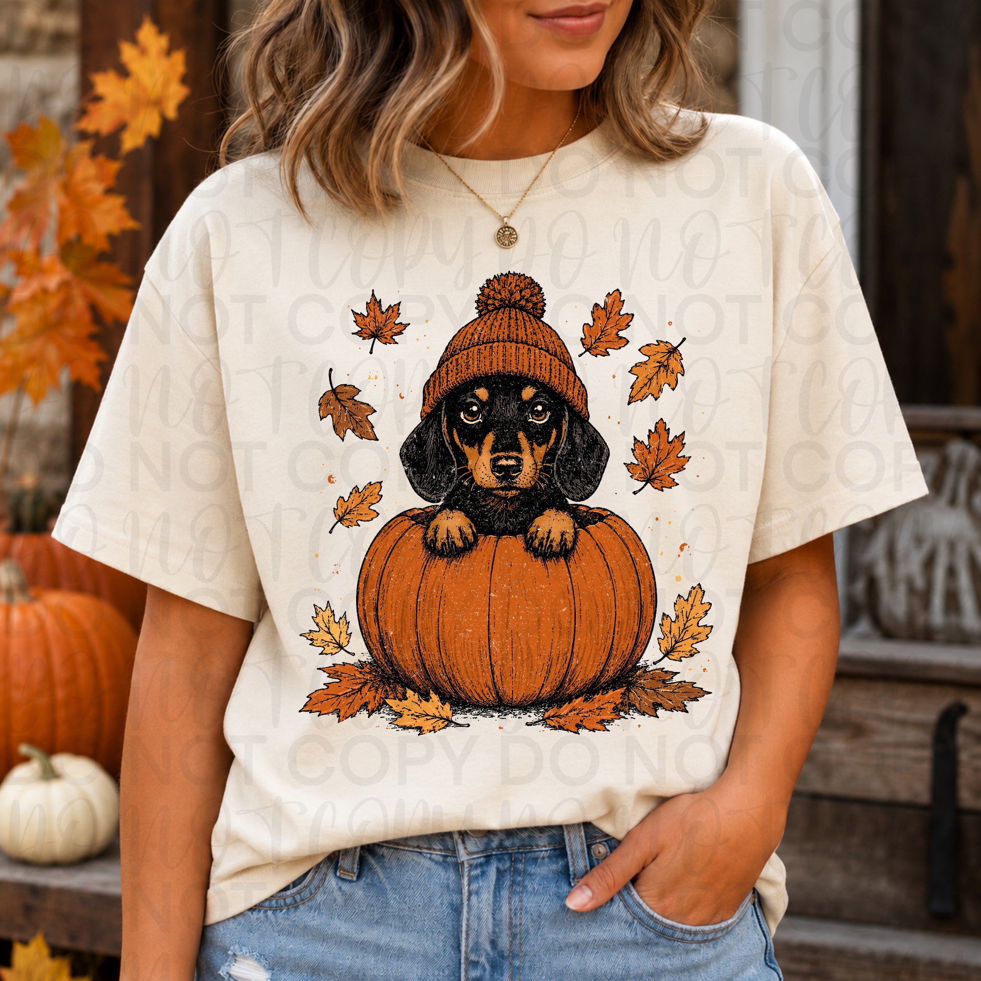 Weenie Dog Pumpkin PNG