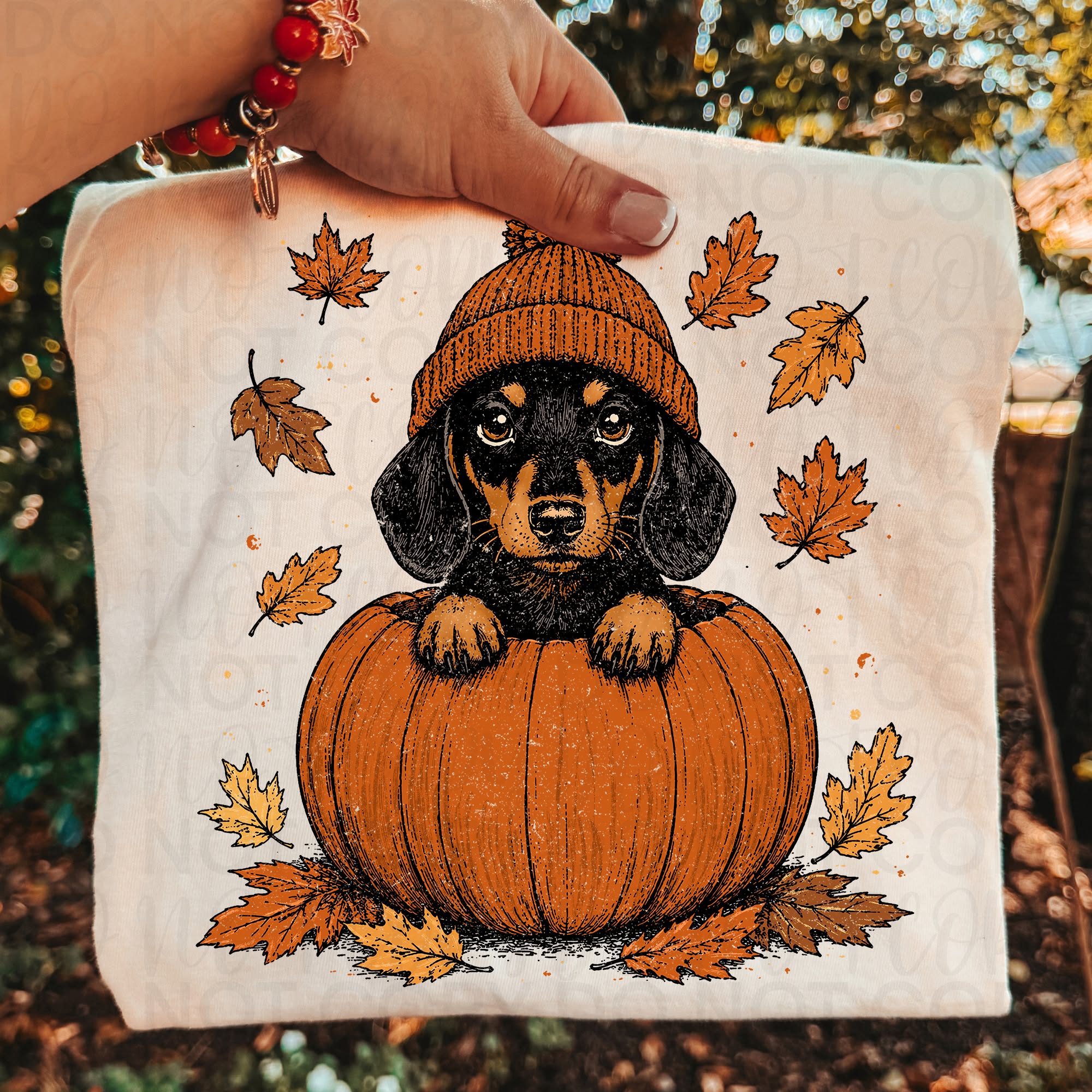 Weenie Dog Pumpkin PNG