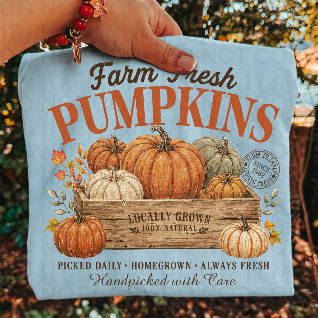 Farm Fresh Pumpkins PNG