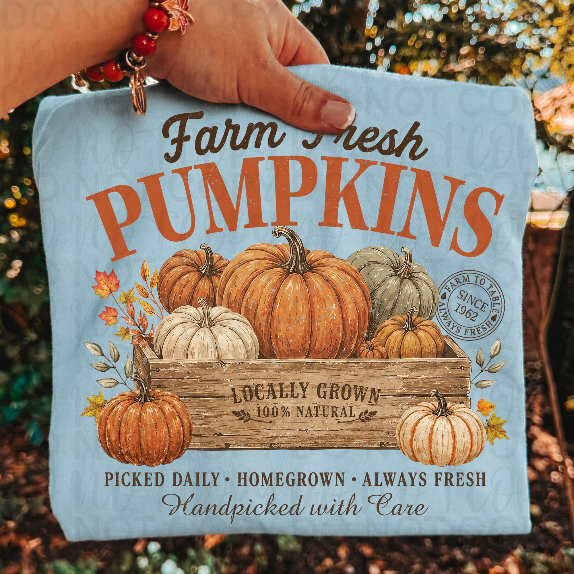 Farm Fresh Pumpkins PNG
