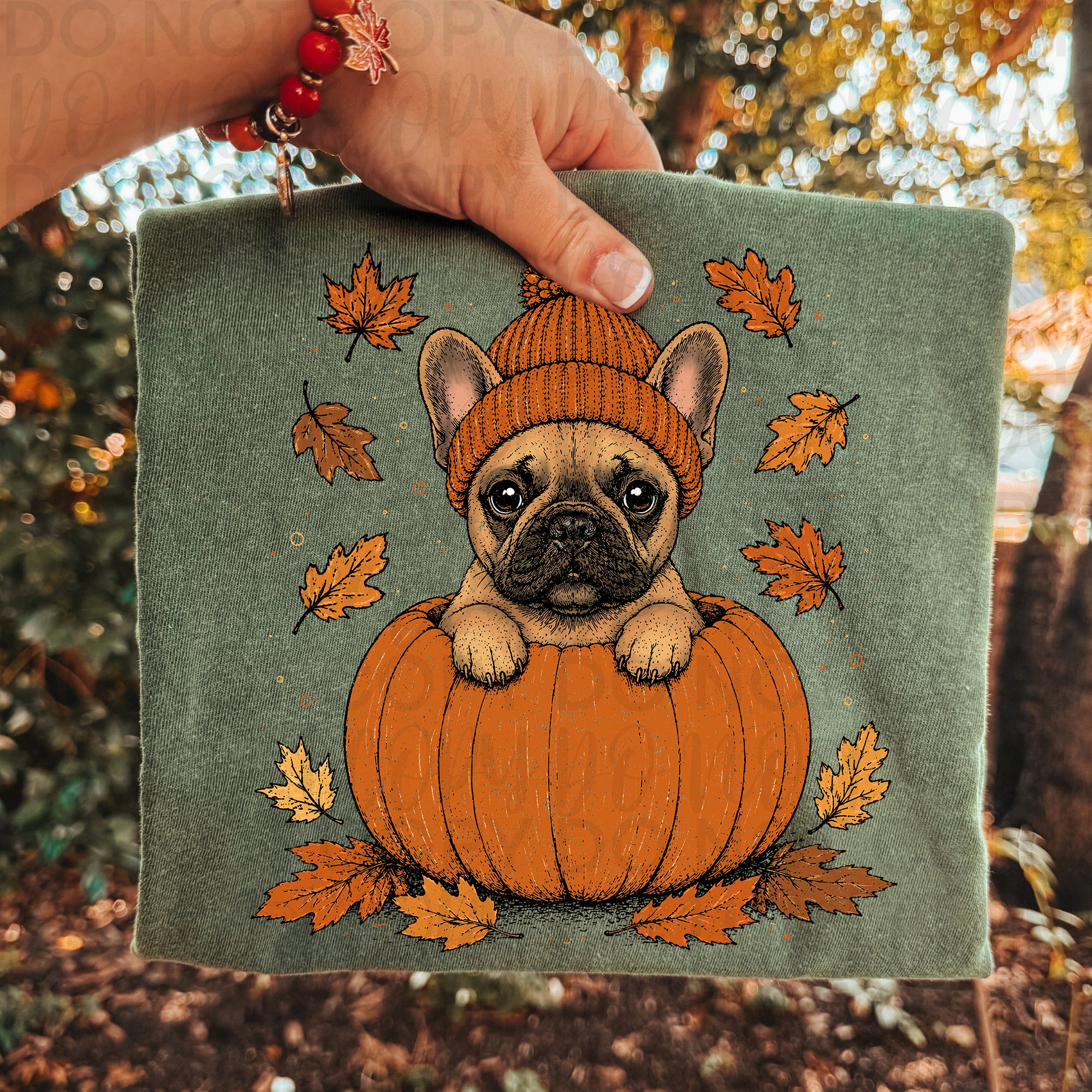 Fall French Bulldog Pumpkin PNG