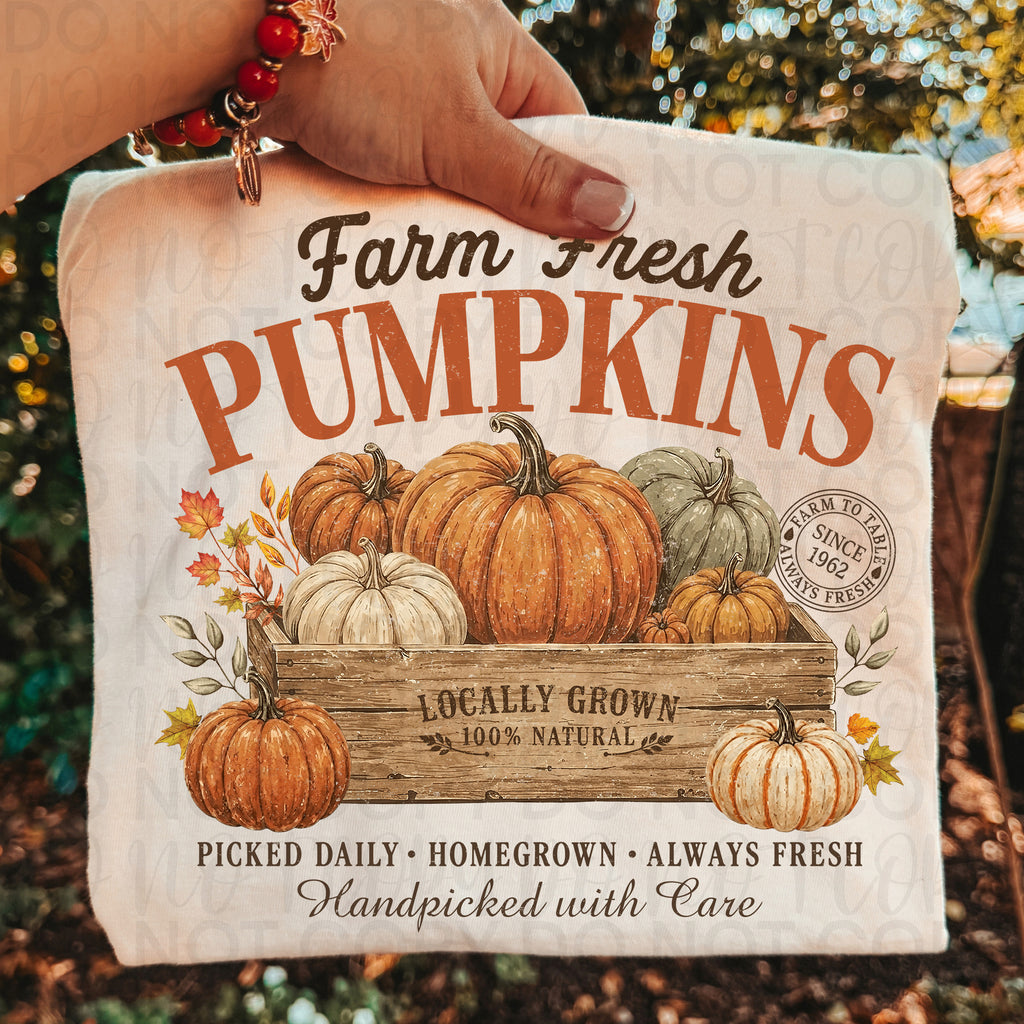 Farm Fresh Pumpkins PNG
