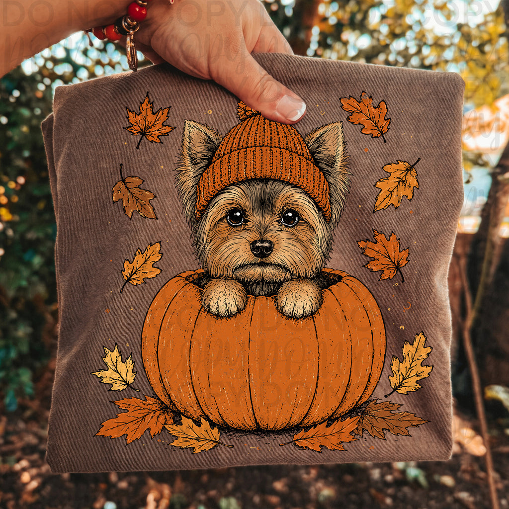 Fall Yorkie Pumpkin PNG