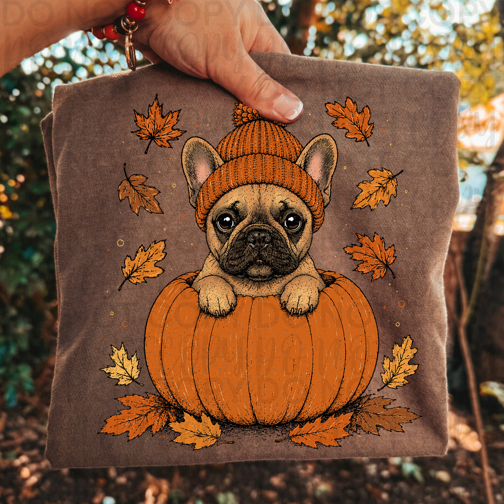 Fall French Bulldog Pumpkin PNG