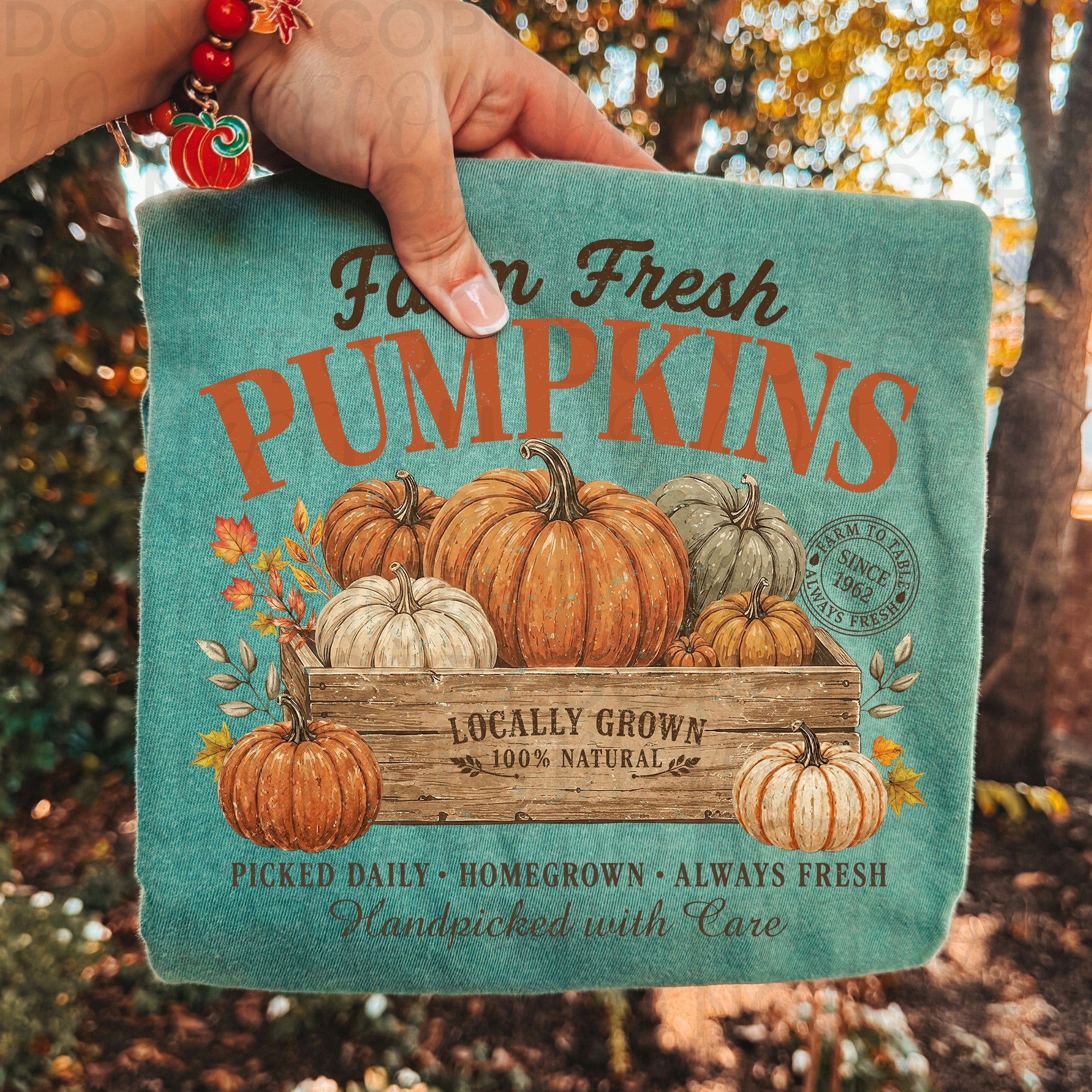 Farm Fresh Pumpkins PNG