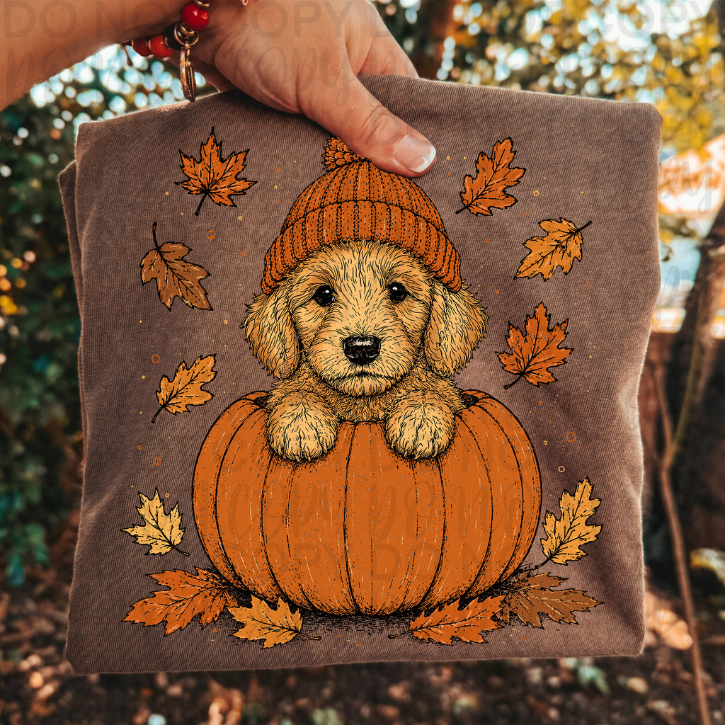 Fall Golden Doodle Pumpkin PNG