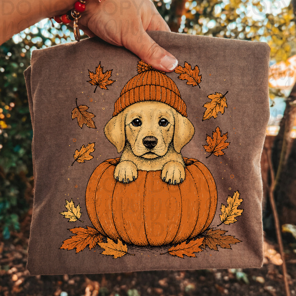 Fall Golden Labrador Pumpkin PNG