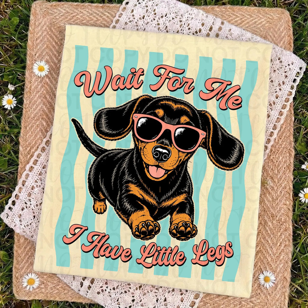 Wait For Me I Have Little Legs Dachshund PNG