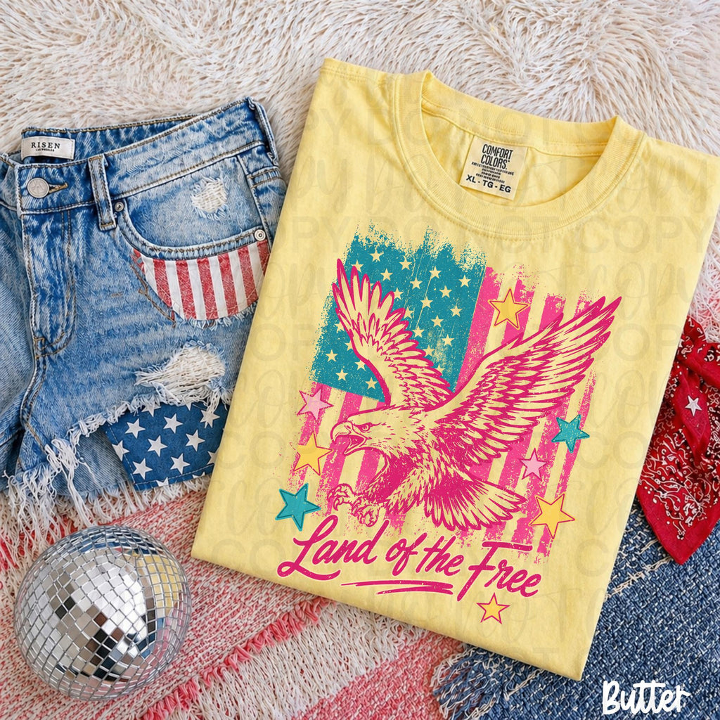 Patriotic Eagle PNG