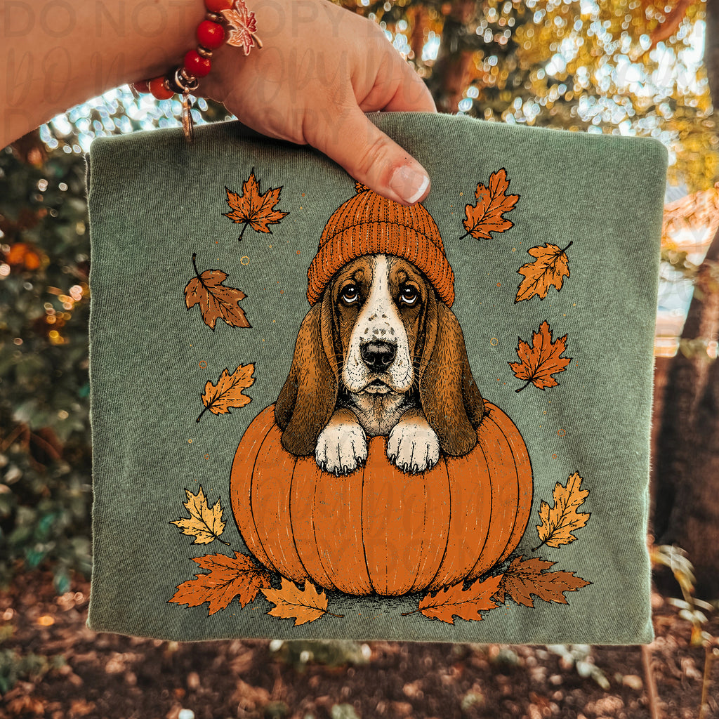 Fall Basset Hound Pumpkin PNG